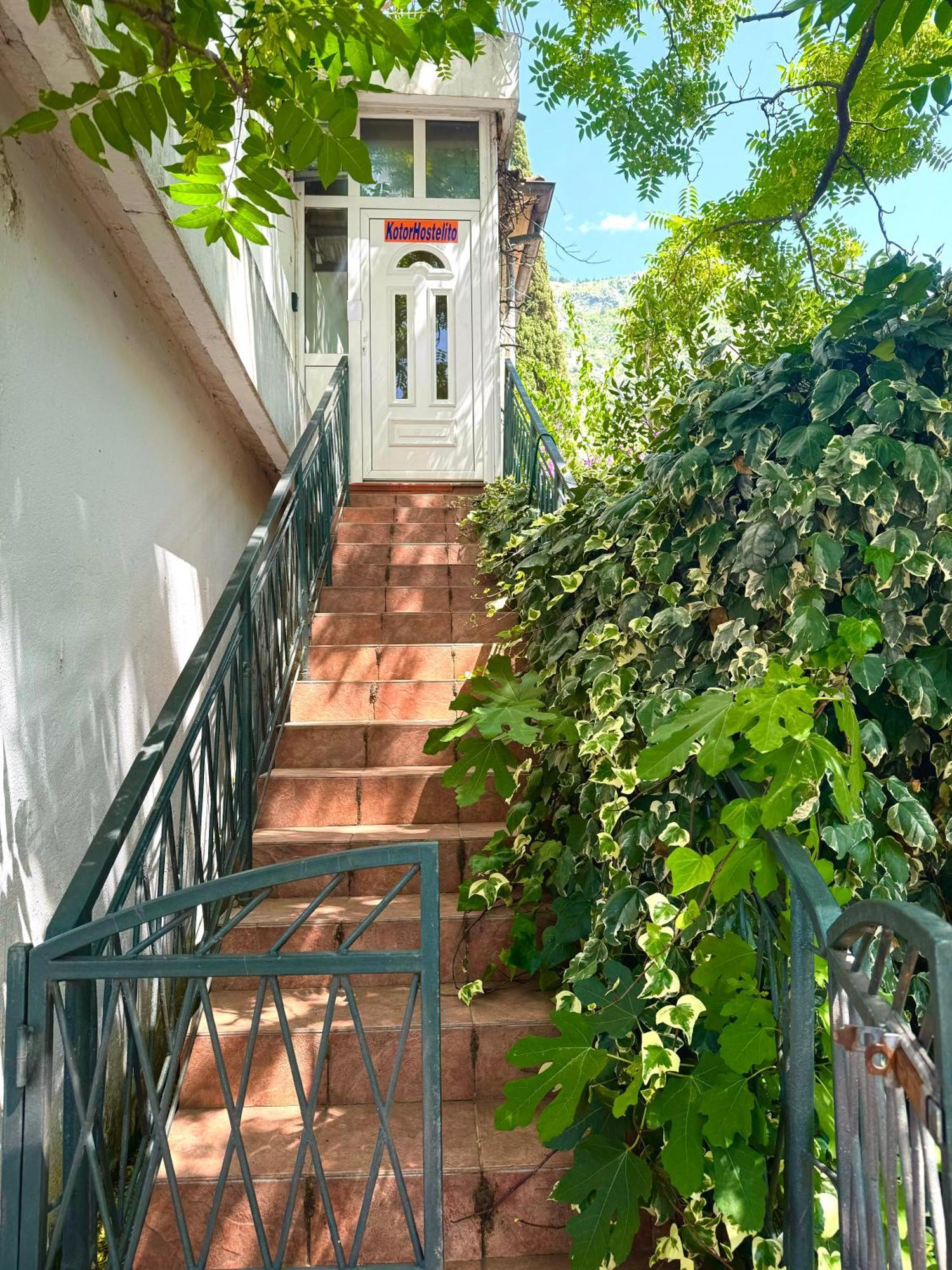 Kotorhostelito מראה חיצוני תמונה